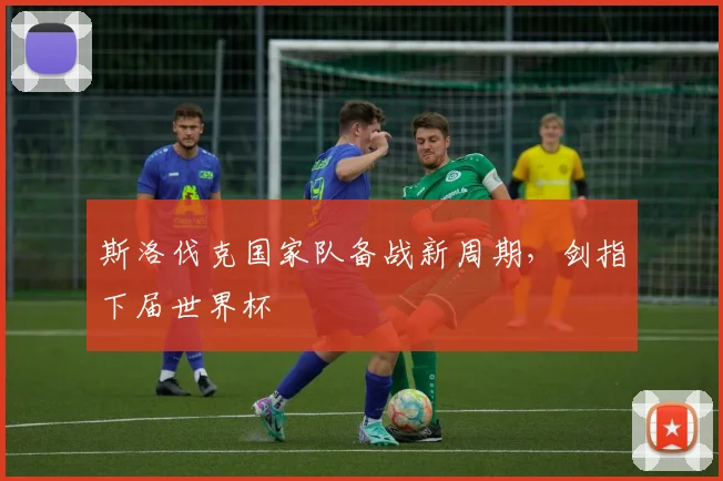 斯洛伐克国家队备战新周期，剑指下届世界杯