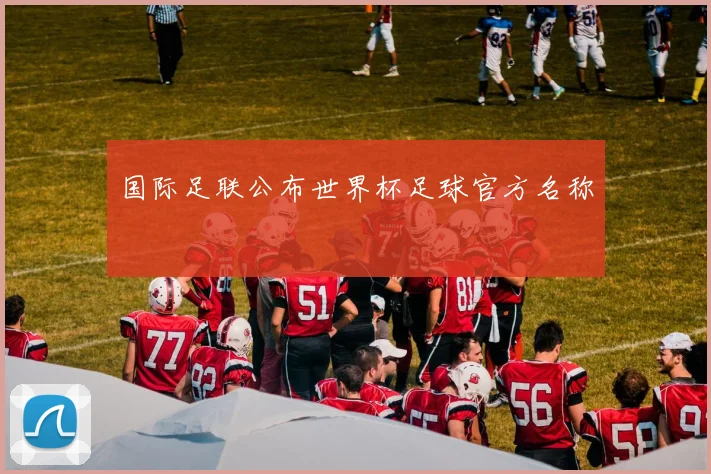国际足联公布世界杯足球官方名称