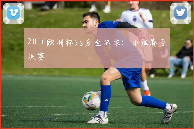 2016欧洲杯比分全记录:小组赛至决赛