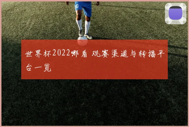 世界杯2022哪看 观赛渠道与转播平台一览