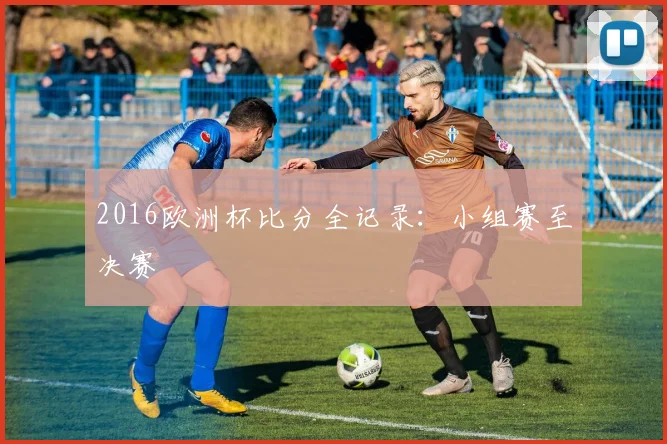 2016欧洲杯比分全记录：小组赛至决赛
