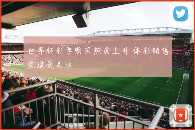 世界杯彩票购买热度上升 体彩销售渠道受关注
