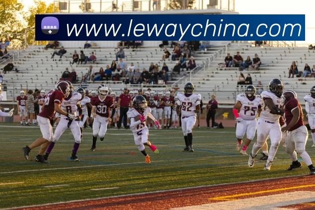 App Interface Preview